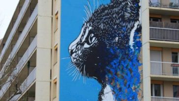 C215 - fresque murale paris 13