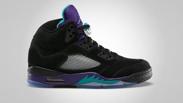 Air Jordan 5 Black Grape 2013