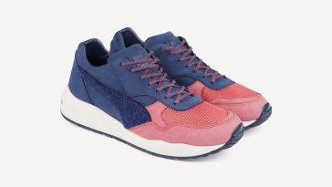 BWGH XS 698 Puma