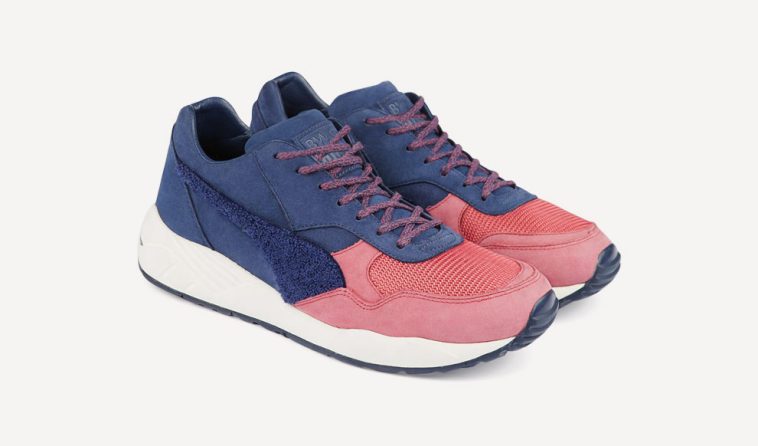 BWGH XS 698 Puma