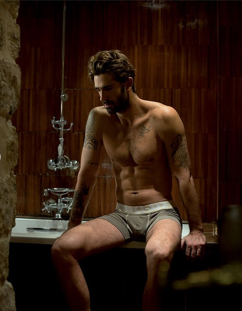 Pull-in Boxer Master Havane