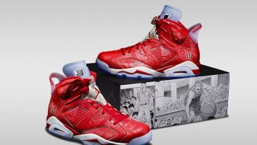 Air Jordan 6 Slam Dunk 2014