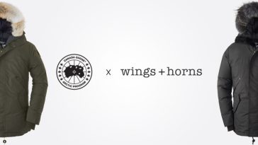 Canada-Goose-Wings-Horns