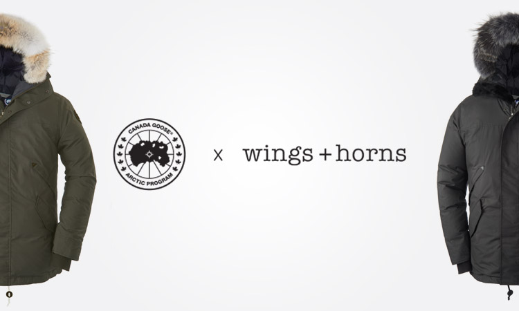 Canada-Goose-Wings-Horns