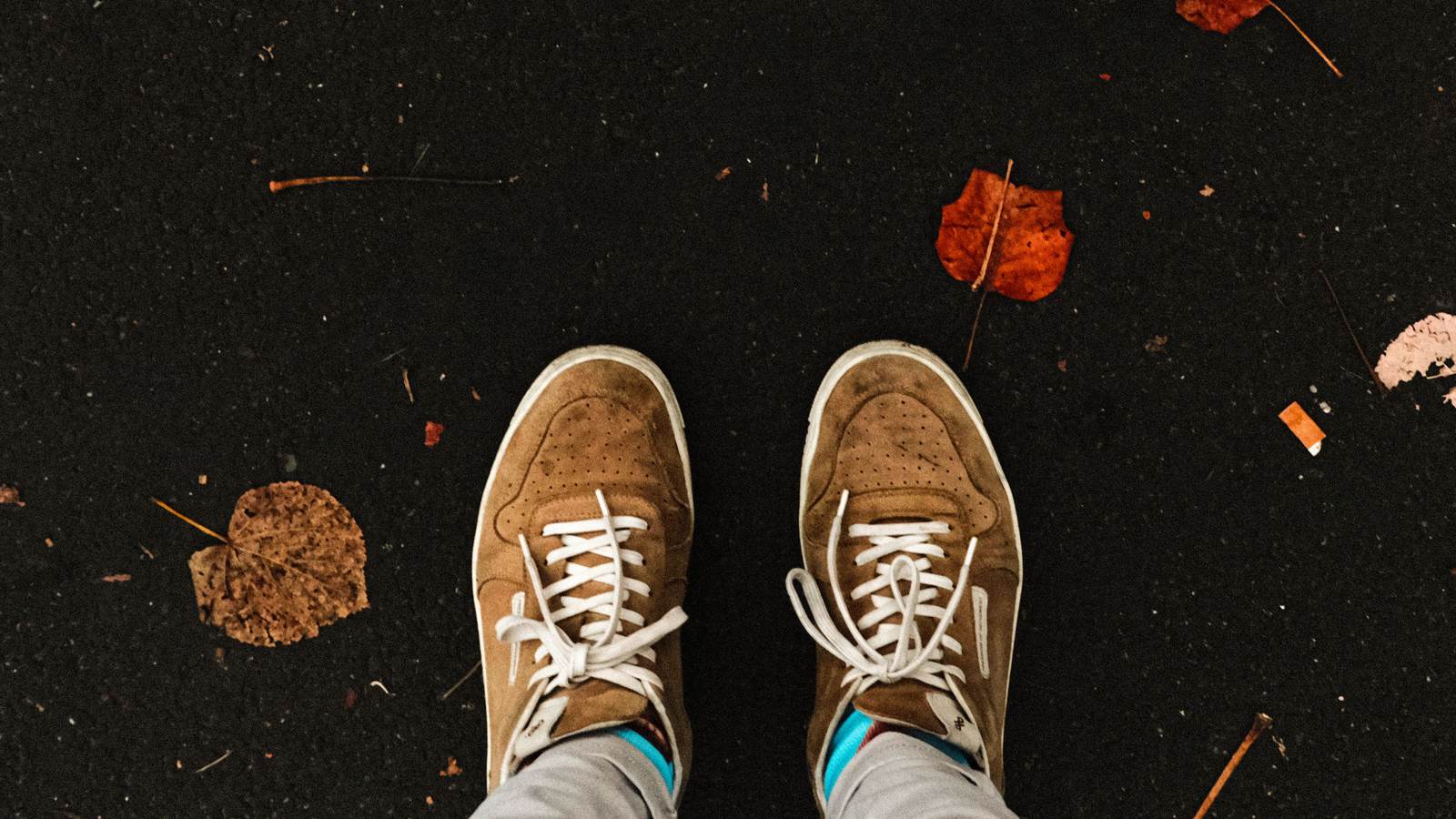 Sneakers en daim camel vues du dessus sur un bitume couvert de feuilles